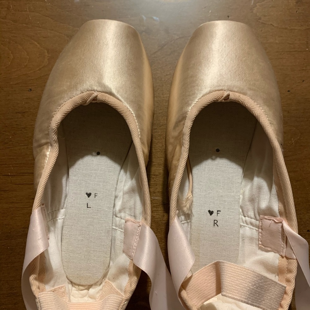 grishko pointe shoes (nova flex)